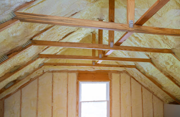 Best Insulation Removal  in Fort Plain, NY
