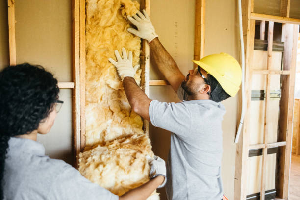 Best Insulation Replacement Services  in Fort Plain, NY