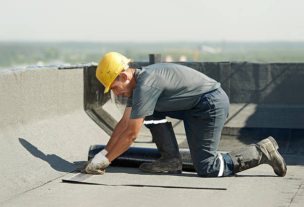 Best Local Insulation Services  in Fort Plain, NY